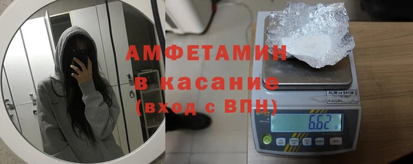 шишки Новодвинск